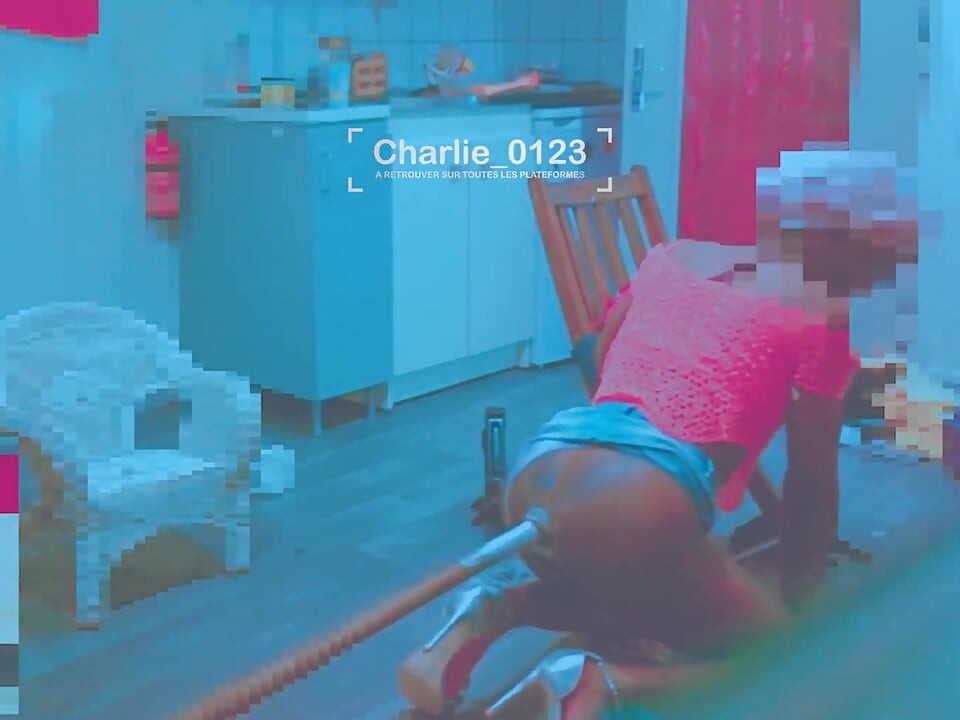 園芸、緑の緑と冒険