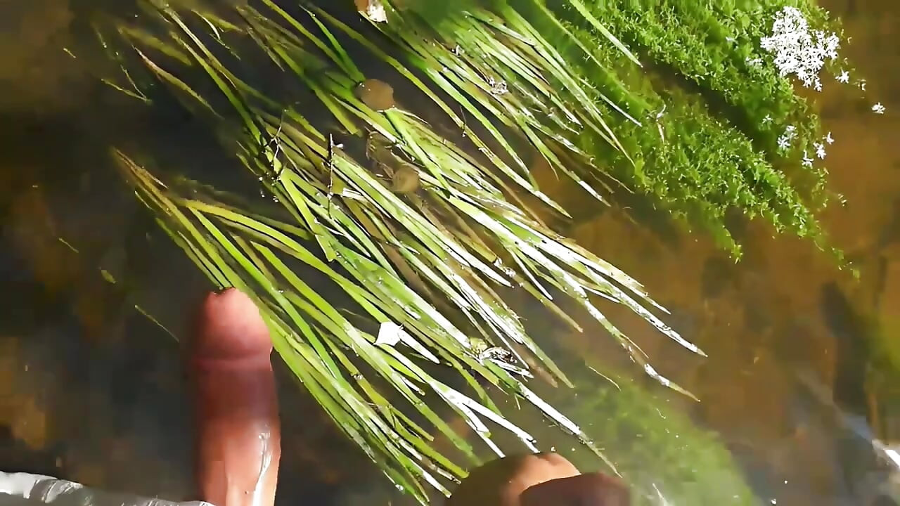 wanking in paradise