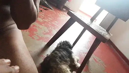 Мачеха нуждается одна дома