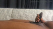 Pregled videozapisa