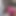 18 Year Old Student Cocksucker Gets Fucked in the Ass
