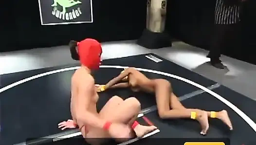 Yellow Kitty ve Crimson Ninja