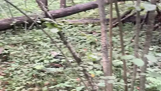 Ormanda yürüyüşte bitti