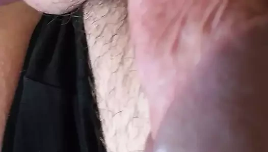mi polla