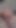 Indian Desi big dick handjob..