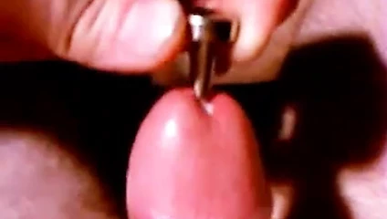 penisplug