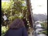 Video ön izlemesi