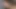 Kimsmithfg videosu