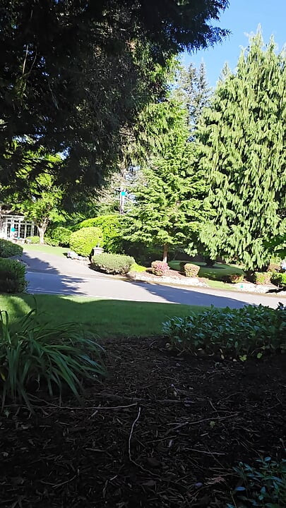 Out The Side Gate