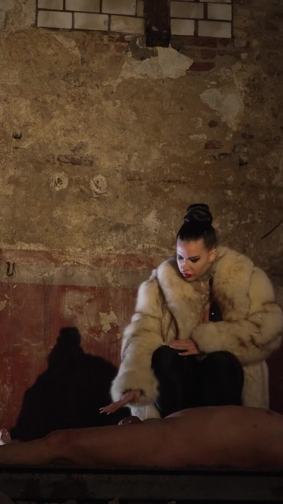 Tôn sùng nhà vệ sinh Halloween