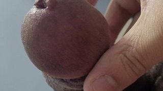 Precum masturbation