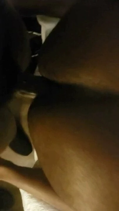 bbc chub bear fucking