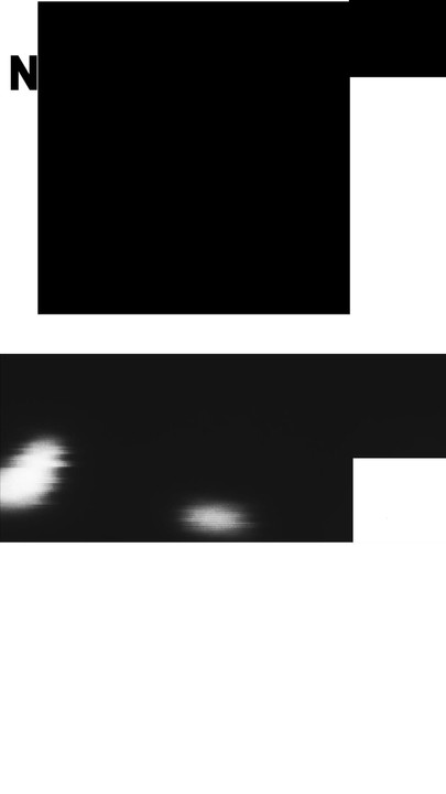 Excerpt from my 2026 solo video