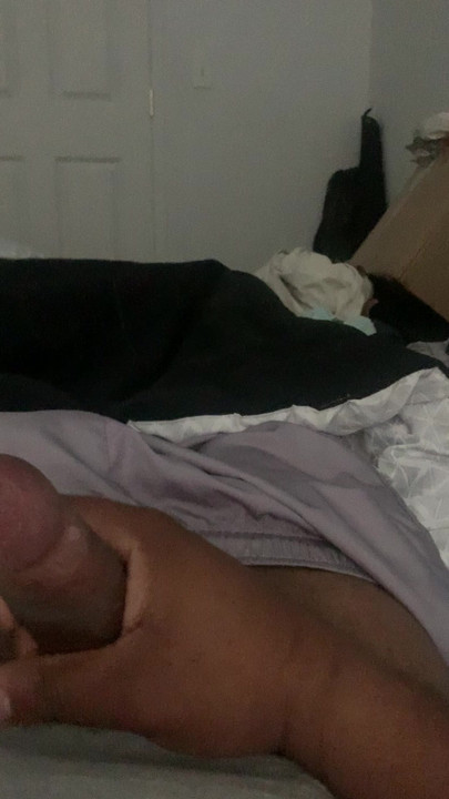 Flagra uma porca