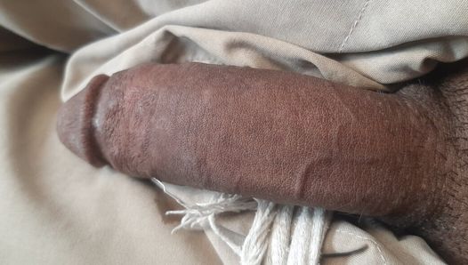 Dick penis lun