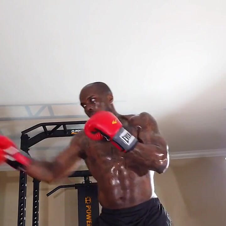 Boxing Workout When Designing a Core Training Program, the Local and Global Muscles Should Both Be Trained to Develop Proper Cor