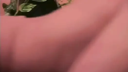 Diese BBC Zerstört Den Kleinen Orientaler