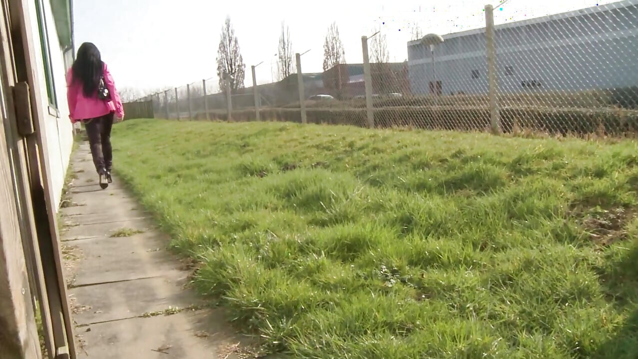 Hot babes love blowjob and cumshot - DVD