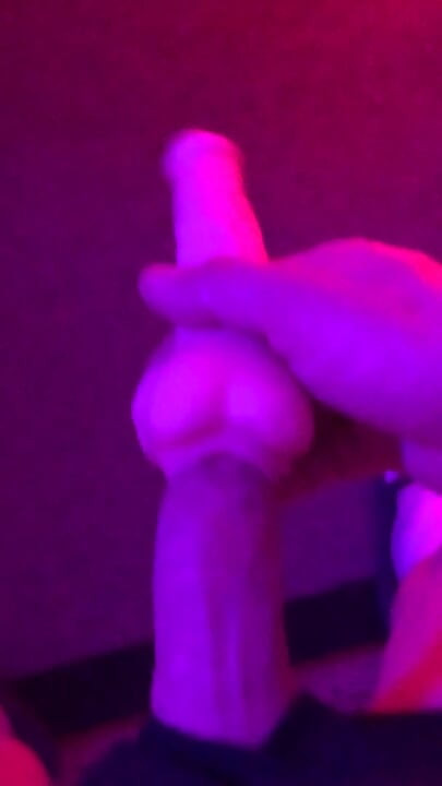 Fun Toy Play