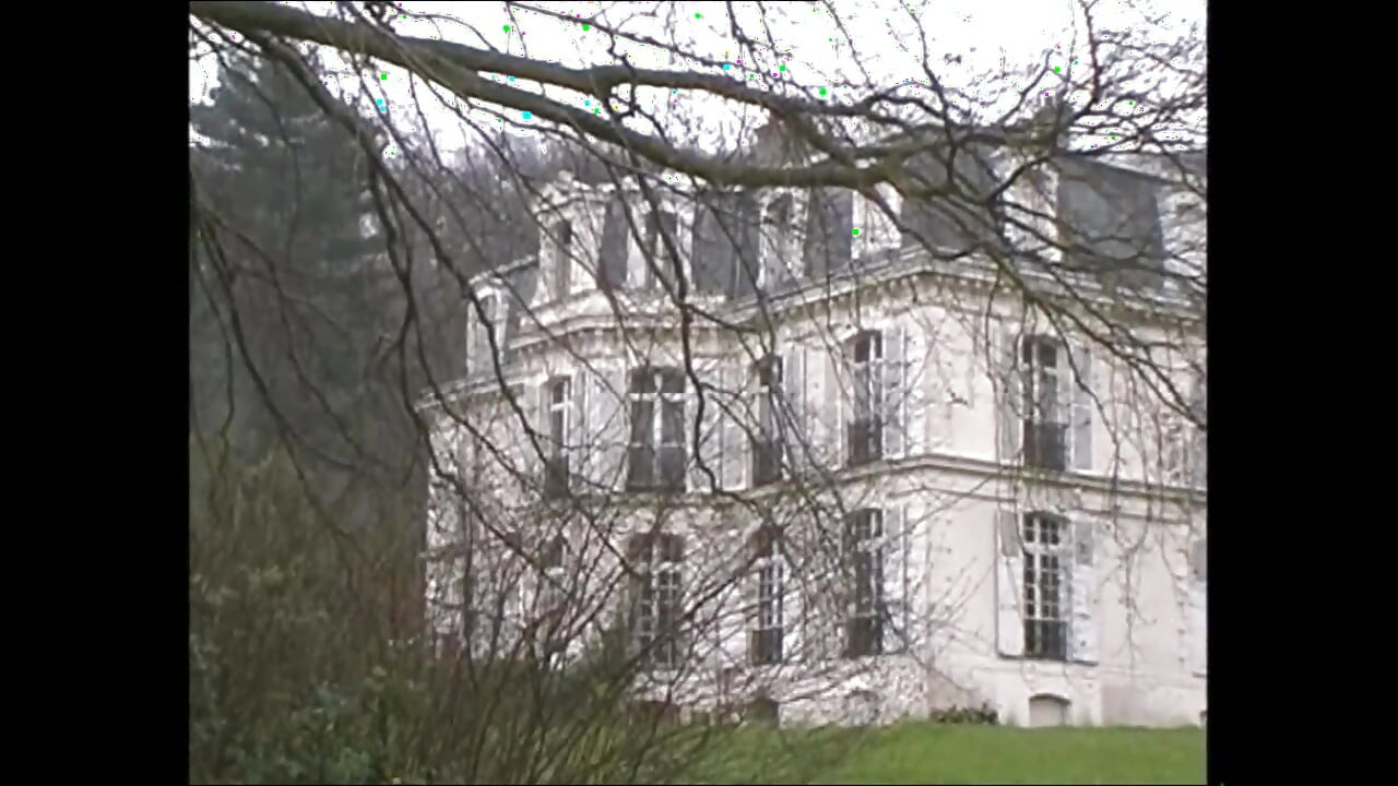 द लस्टफुल हाउस ऑफ टोडोइस (फिल्म)