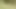 outdoor 6cm Dildo shaking and bouncing