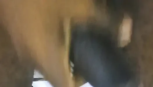 Long black dick penis masturbation. Penis romance and sperms ejaculation