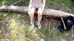 Pregled videozapisa