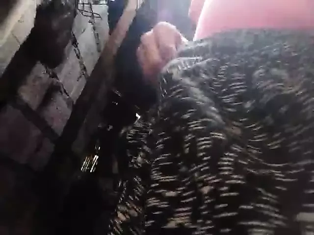 Precum