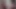 2 cochonnes francaises sortent le gode ceinture