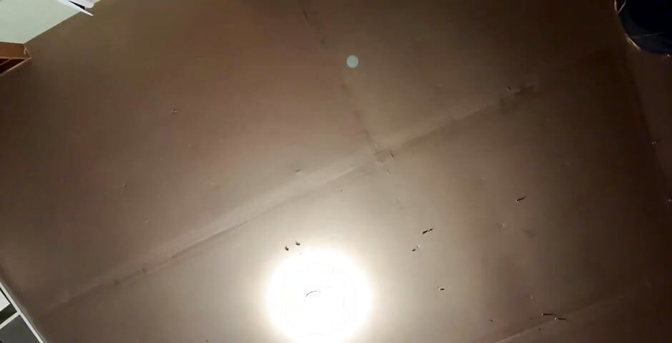 Strim je počeo 02182024 08:43 ujutru nadam se da ćete uhvatiti ovog