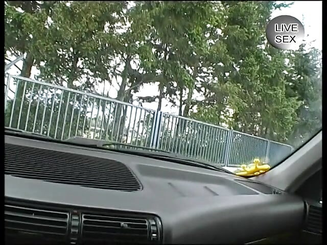 Slatka plavokosa drolja masturbira u autu