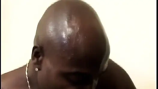 Из Африки 4 жеребца только для Дженни