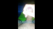 Pratonton Video
