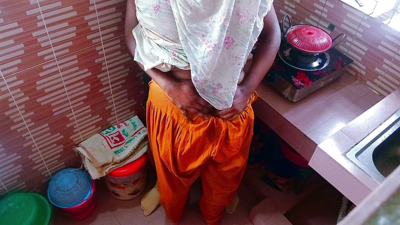 A beautiful desi aunty has a hot sex with a young man