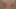 Sounding Cumshot with 10 mm ball rod inside cock