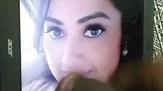 Meena South Indian MILF actress cocking tribute