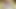 Gal with huge natural tities masturbating to orgasm for me