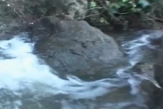 Yüzünü siktirmeyi seven mükemmel bir Fransız bebek