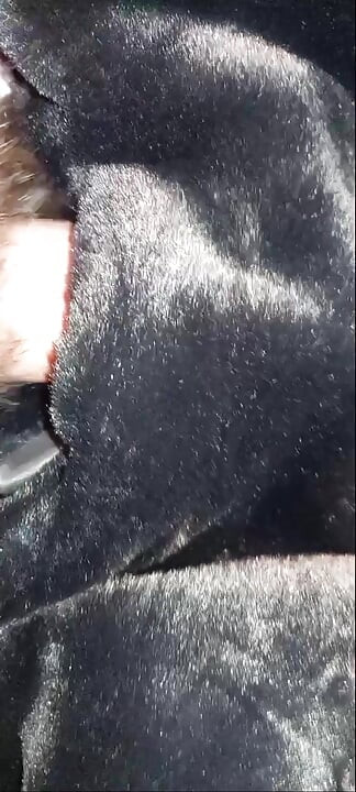 Ejaculating my sperm on the shiny lining of a black fake fur ladycoat