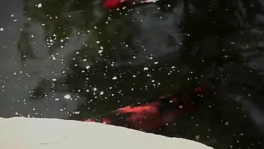 Platin sarışın sürtükler havuz kenarında takma yarak oyuncağını paylaşıyor