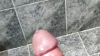 Bear cumming