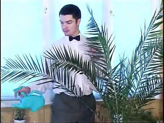 russian nylon foot fetish and sex