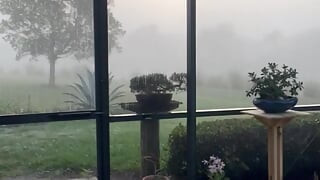 Γυμνοί στην αυλή