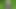 German teen hobby inseminated by stranger