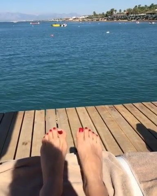 Feet 