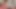 Travesti riley kıçını sallayarak ve alay bir iyi giyer