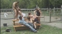 Good Old Fashioned Picnic Table Orgy