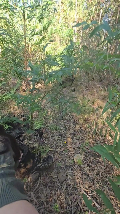 Amateur milf fucks and sucks in forest next to the road for all to see | Clip 1