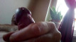 Pregled videozapisa
