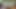 私はスプーンでボーダジュースを取り出しました。
